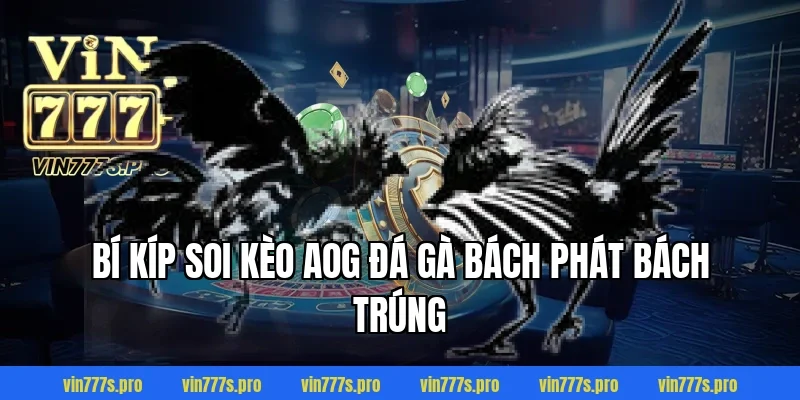 Bí kíp soi kèo AOG đá gà bách phát bách trúng