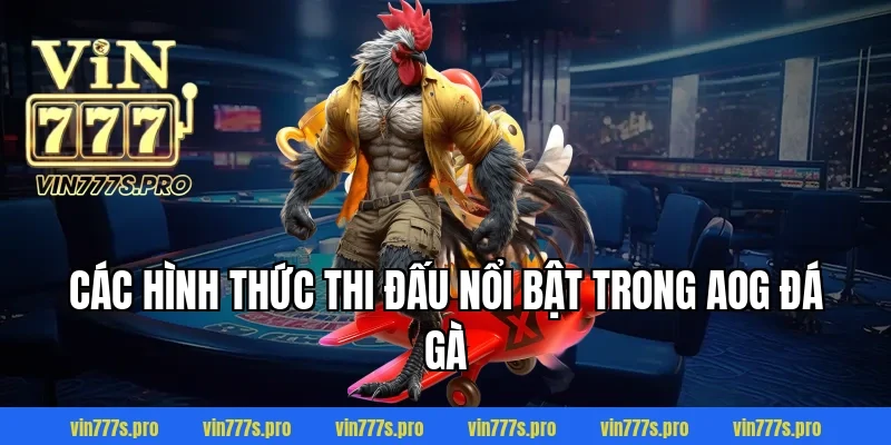 Các hình thức thi đấu nổi bật trong AOG đá gà