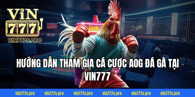 Hướng dẫn tham gia cá cược AOG đá gà tại VIN777