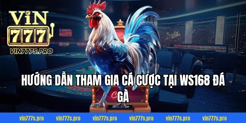 Hướng dẫn tham gia cá cược tại WS168 đá gà