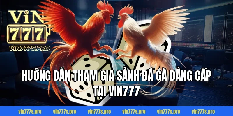 Hướng dẫn tham gia sảnh đá gà đẳng cấp tại VIN777