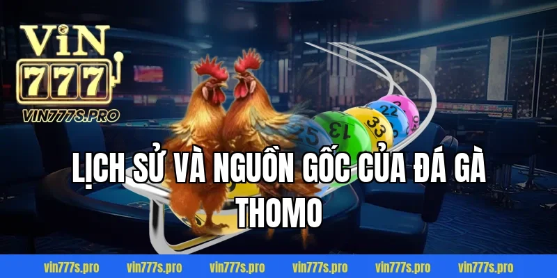 Lịch sử và nguồn gốc của đá gà Thomo
