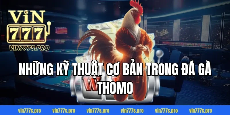 Những kỹ thuật cơ bản trong đá gà Thomo