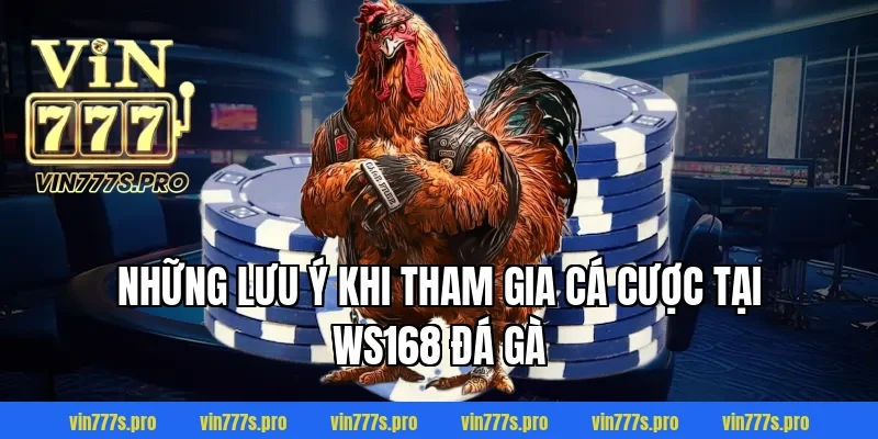 Những lưu ý khi tham gia cá cược tại WS168 đá gà