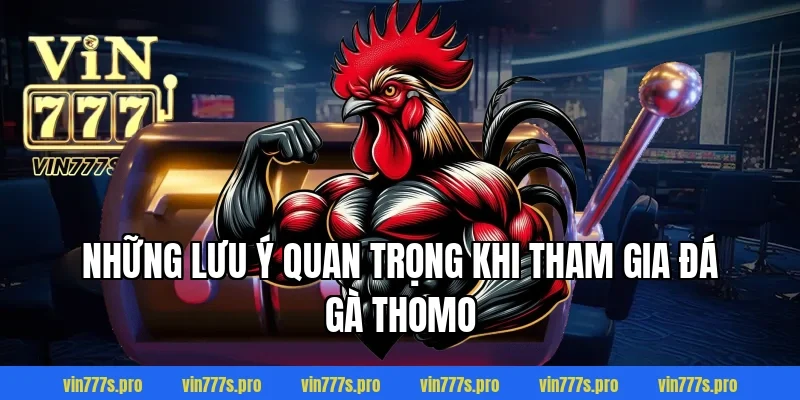 Những lưu ý quan trọng khi tham gia đá gà Thomo