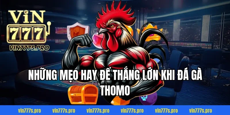 Những mẹo hay để thắng lớn khi đá gà Thomo