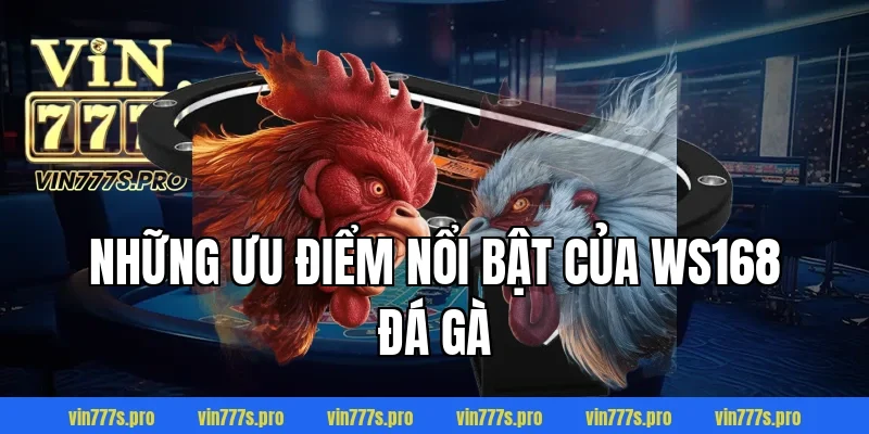 Những ưu điểm nổi bật của WS168 đá gà